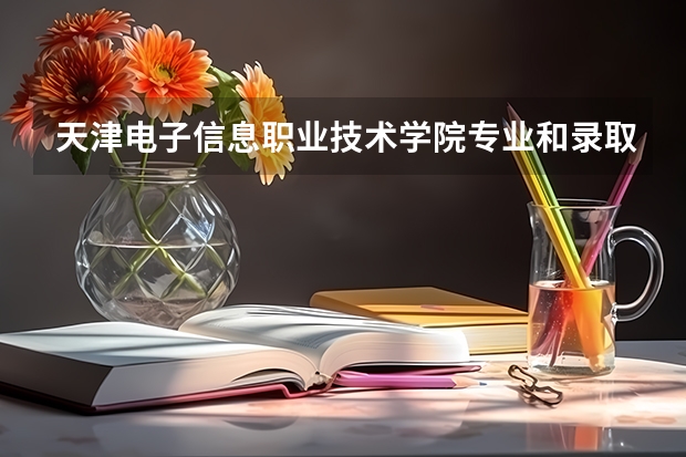 天津电子信息职业技术学院专业和录取分数线详解